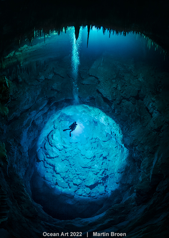 Ocean Art 2022 3rd Place Wide Angle Underwater Photography Guide